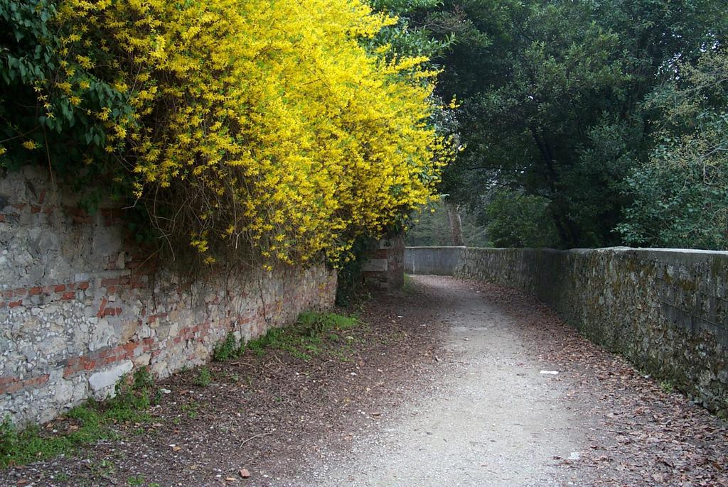 Bob And Jenny'S B&B Vicenza Exterior foto